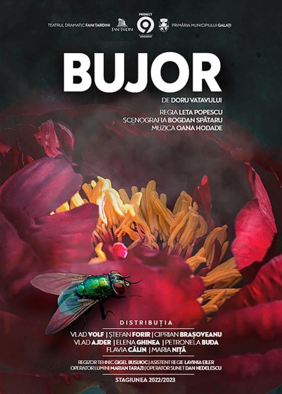 Bujor
