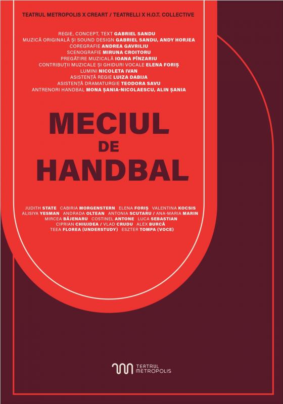 Meciul De Handbal