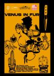 Venus in fur
